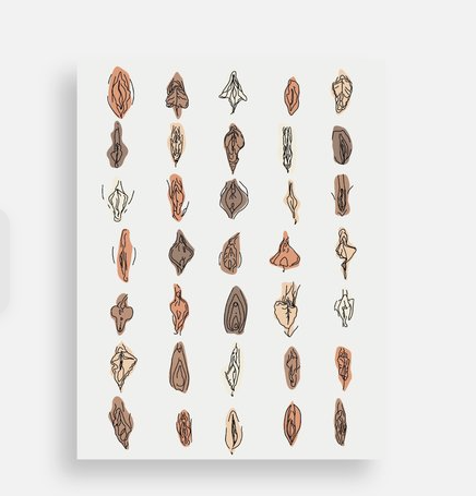 Every Vulva Is Beautiful Postcard - Body Positive & Inclusive Queer Art Postcard