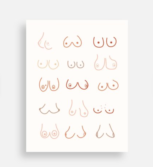 Every Pair Is Perfect - Queer Body Positive Boobs Postcard